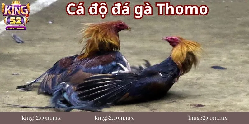 Ca-do-da-ga-Thomo-la-gi?